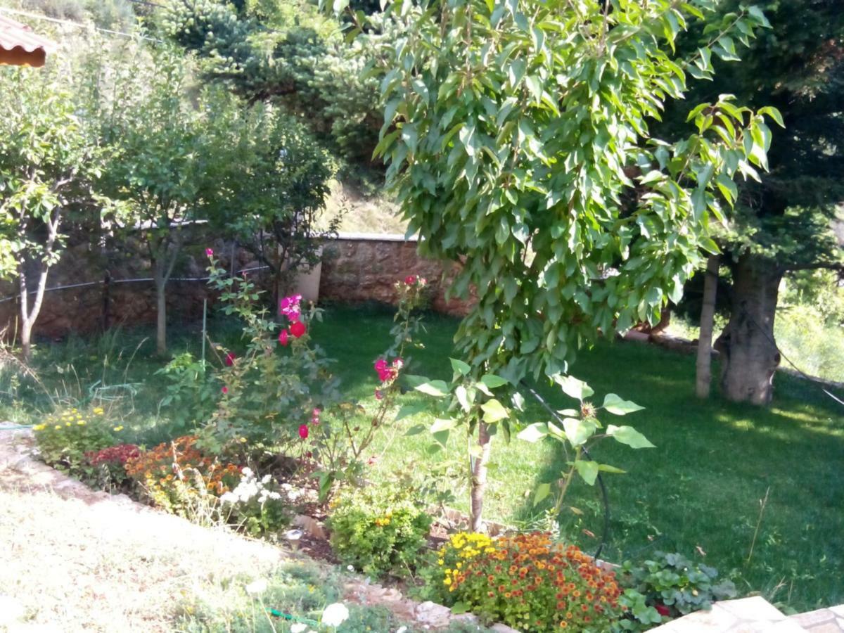Elatos Cozy Studio Ano Trikala Luaran gambar