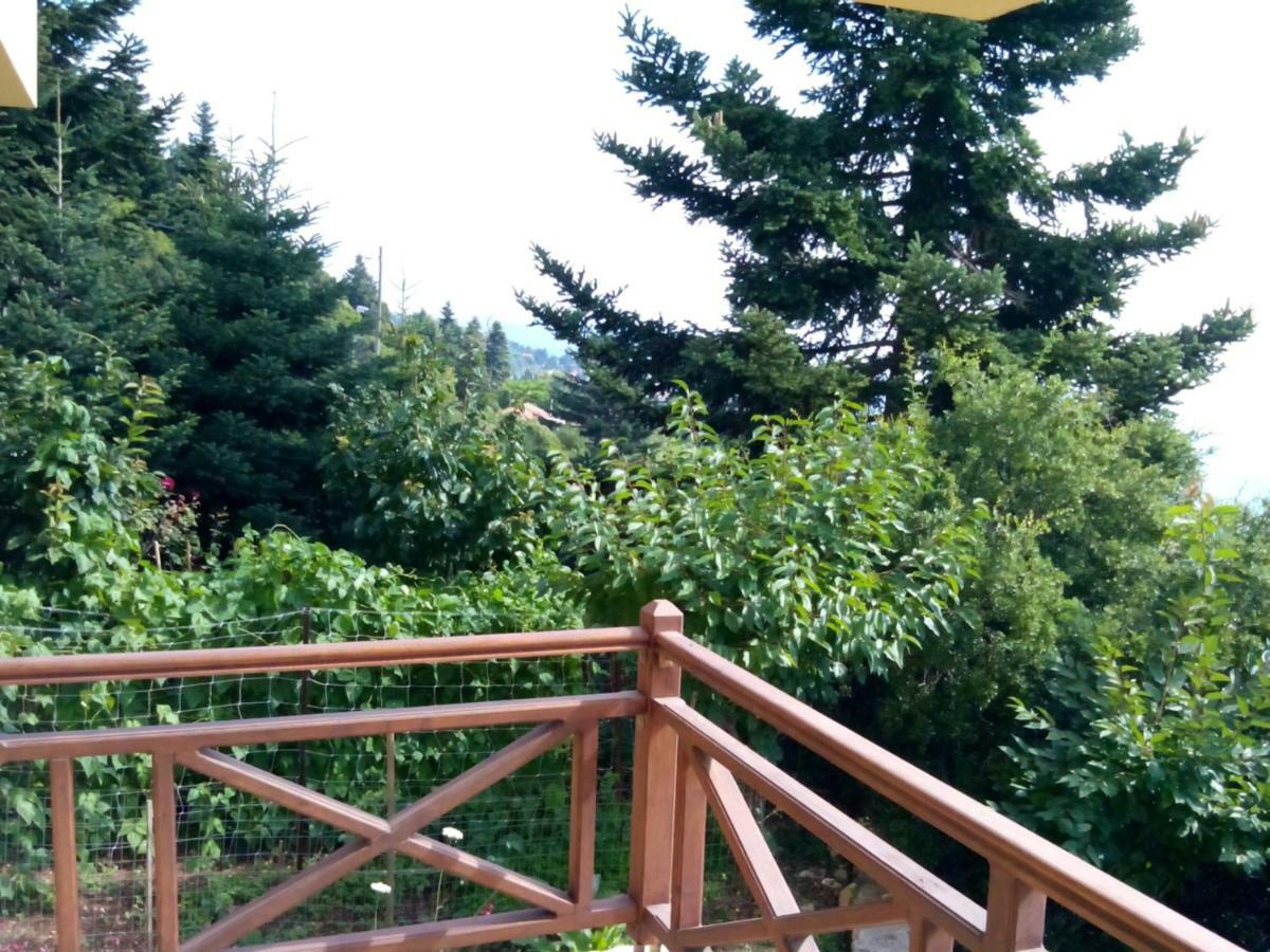 Elatos Cozy Studio Ano Trikala Luaran gambar