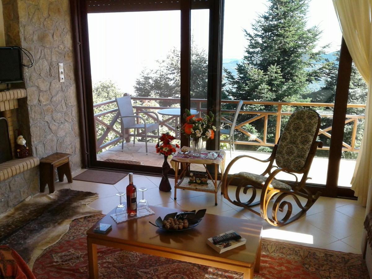 Elatos Cozy Studio Ano Trikala Luaran gambar