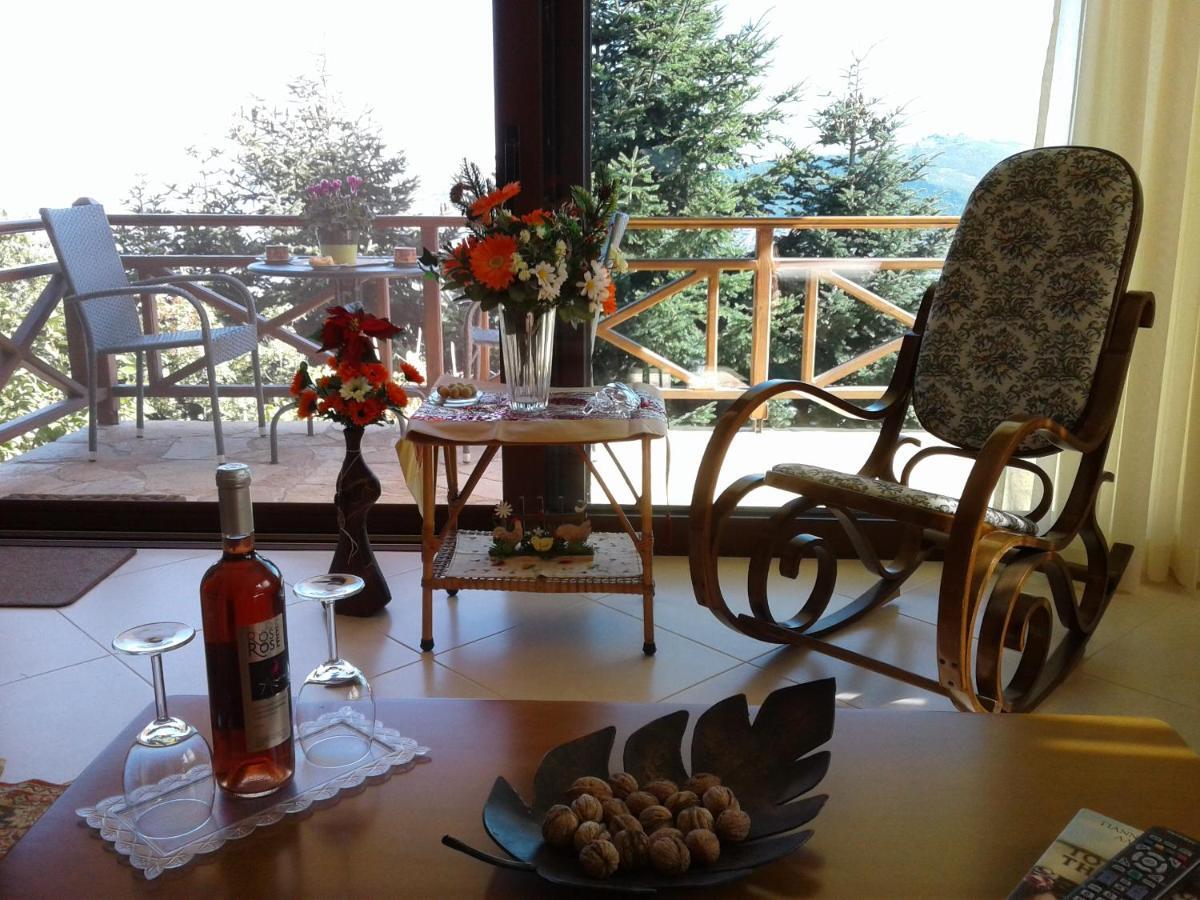 Elatos Cozy Studio Ano Trikala Luaran gambar