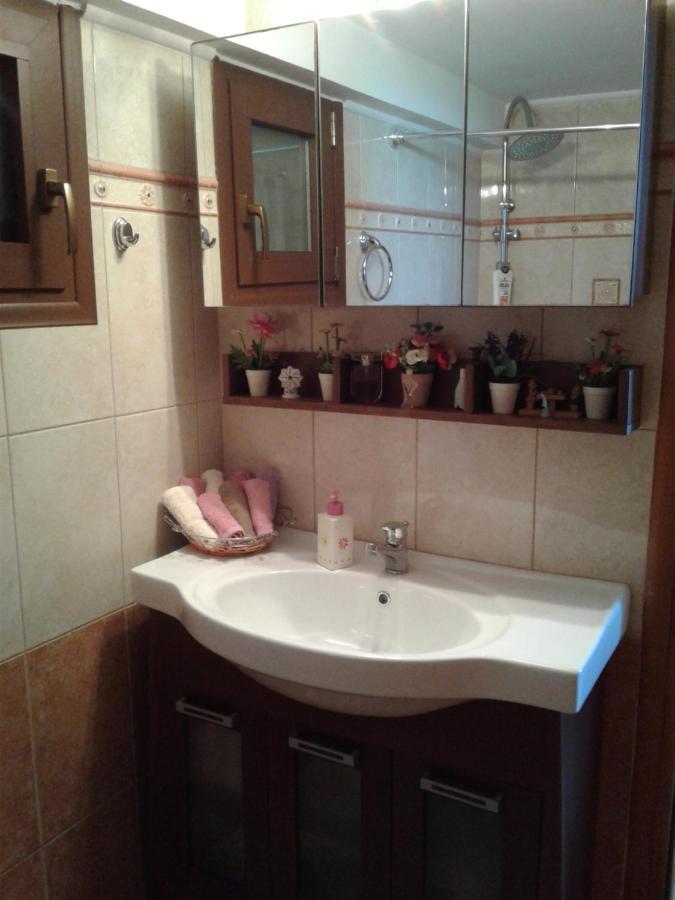 Elatos Cozy Studio Ano Trikala Luaran gambar